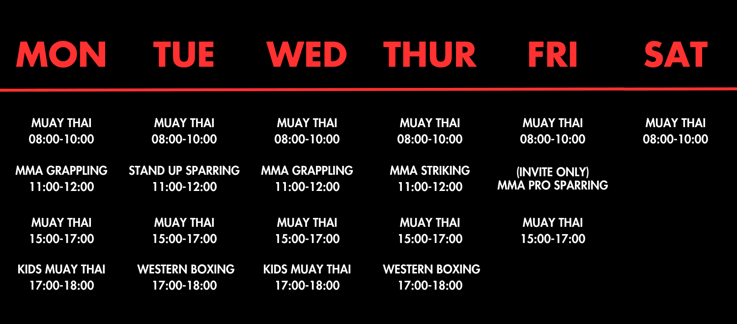 Brazilian Jiu Jitsu Class Southside MMA Phuket